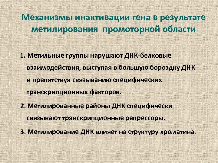 Механизмы инактивации гена в результате метилирования промоторной области 1. Метильные группы нарушают ДНК-белковые взаимодействия,