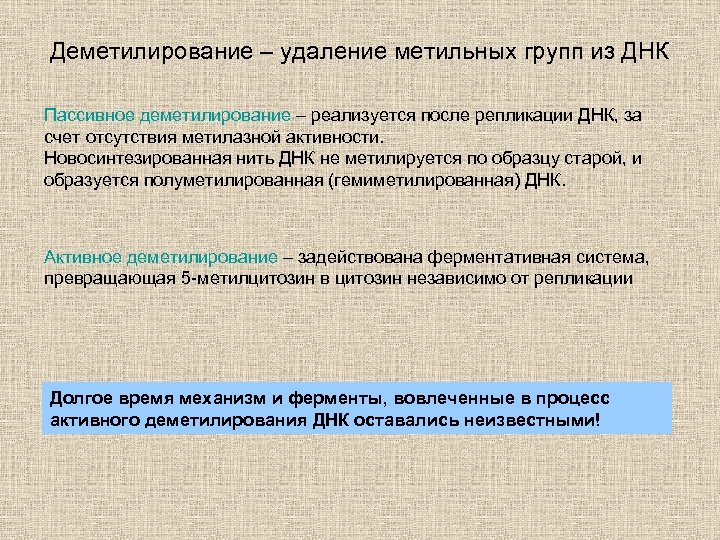 Деметилирование – удаление метильных групп из ДНК Пассивное деметилирование – реализуется после репликации ДНК,