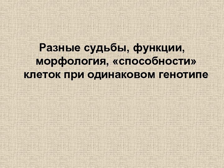 Разные судьбы, функции, морфология, «способности» клеток при одинаковом генотипе 