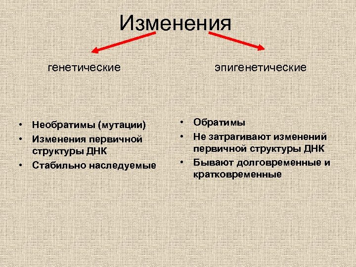 Изменения генетические • Необратимы (мутации) • Изменения первичной структуры ДНК • Стабильно наследуемые эпигенетические