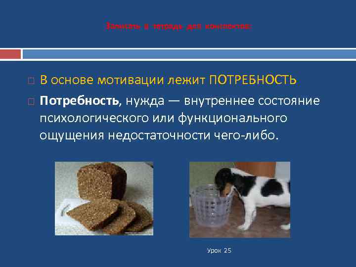 Записать в тетрадь для конспектов: В основе мотивации лежит ПОТРЕБНОСТЬ Потребность, нужда — внутреннее