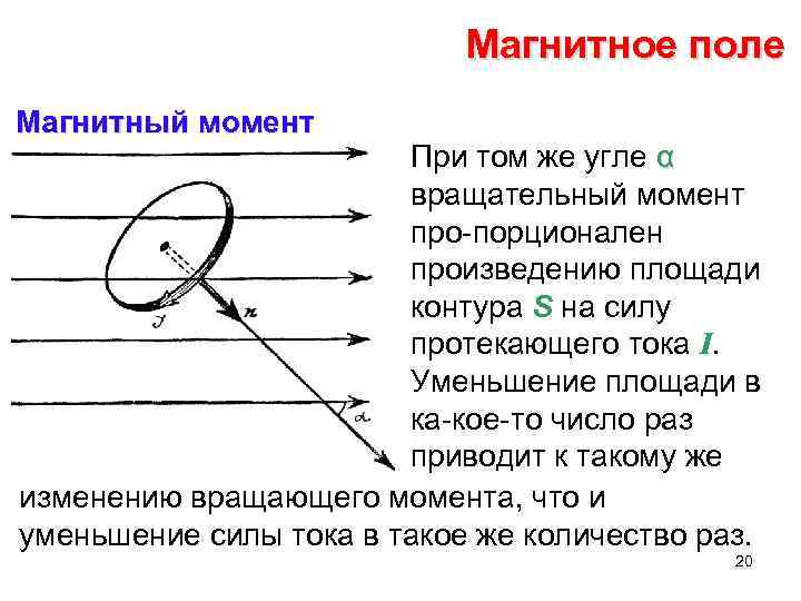 Магнитное поле Магнитный момент При том же угле α вращательный момент про порционален произведению