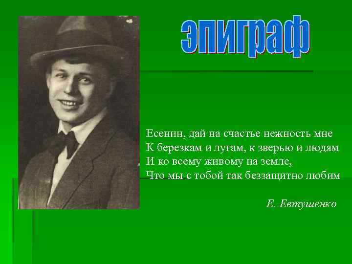 Есенин, дай на счастье нежность мне К березкам и лугам, к зверью и людям