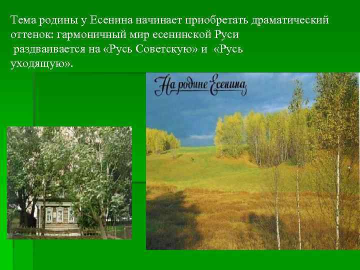 Тема родины у Есенина начинает приобретать драматический оттенок: гармоничный мир есенинской Руси раздваивается на