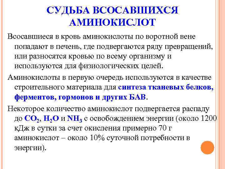 Какова дальнейшая. Судьба всосавшихся аминокислот. Судьба аминокислот после всасывания биохимия. Аминокислоты после всасывания. Судьба белков.