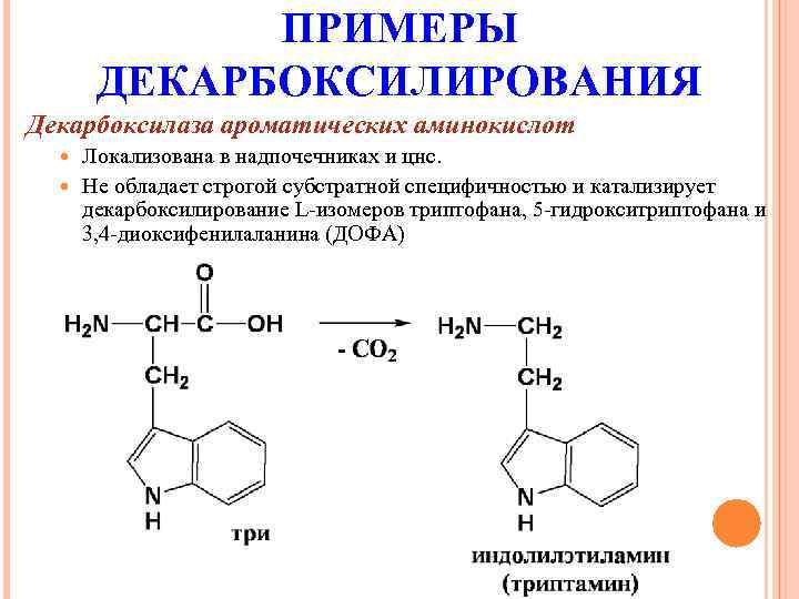 Декарбоксилирование триптофана