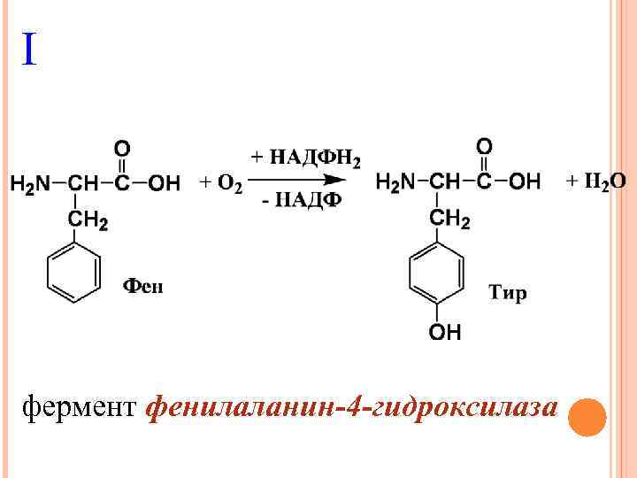 Ферменты фенилаланина. Гидроксилировании фенилаланина. Фенилаланин 4 гидроксилаза. Реакция гидроксилирования фенилаланина. Ароматическое гидроксилирование фенилаланина.