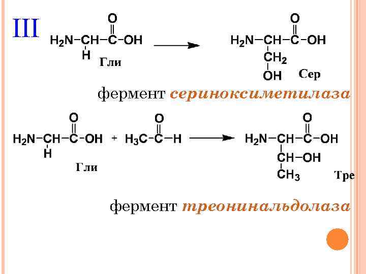 III фермент сериноксиметилаза фермент треонинальдолаза 