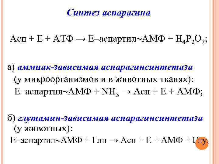 Синтез аспарагина Асп + Е + АТФ → Е–аспартил АМФ + Н 4 Р