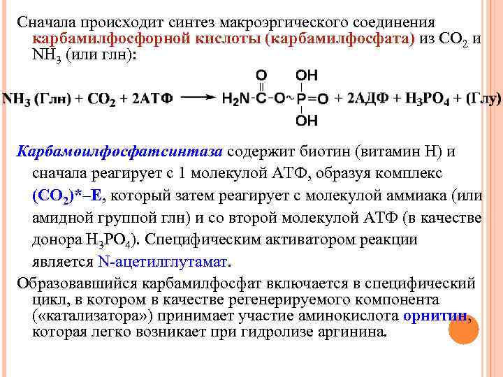 Содержит макроэргические связи обеспечивает энергией реакции синтеза. Карбамилфосфат. Синтез макроэргических соединений. Гидролиз макроэргических связей. Фосфатные макроэргические соединения.