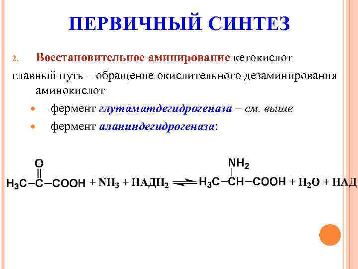 Первичный синтез