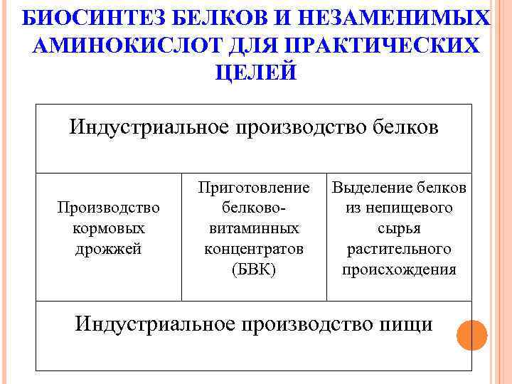 БИОСИНТЕЗ БЕЛКОВ И НЕЗАМЕНИМЫХ АМИНОКИСЛОТ ДЛЯ ПРАКТИЧЕСКИХ ЦЕЛЕЙ Индустриальное производство белков Производство кормовых дрожжей