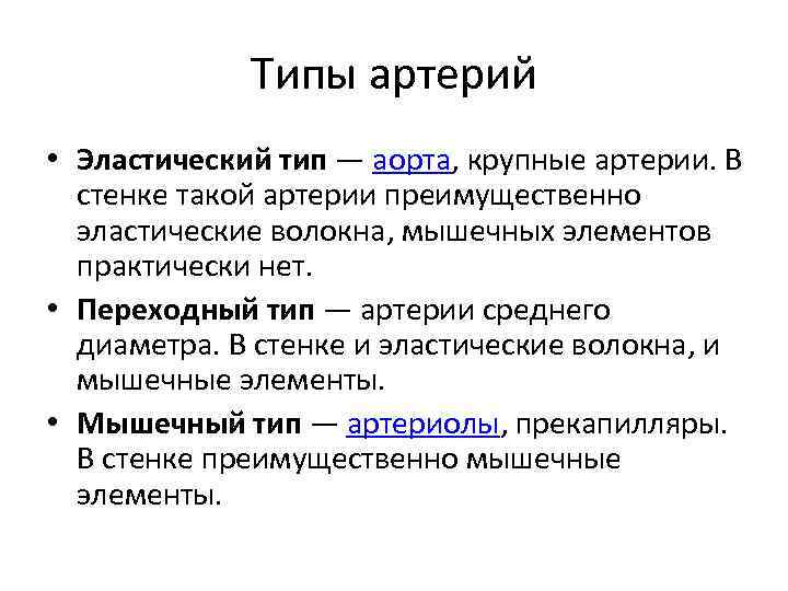 Типы артерий • Эластический тип — аорта, крупные артерии. В стенке такой артерии преимущественно