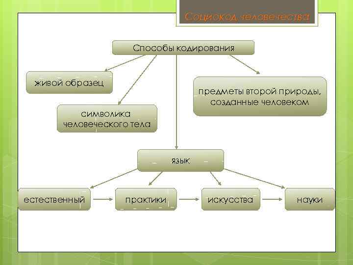 Социокод человечества Способы кодирования живой образец предметы второй природы, созданные человеком символика человеческого тела