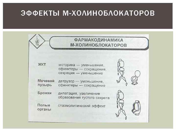 ЭФФЕКТЫ М-ХОЛИНОБЛОКАТОРОВ 