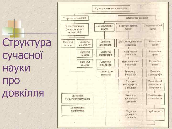 Структура сучасної науки про довкілля 