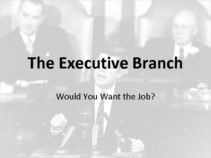 The Executive Branch Would You Want the Job? 