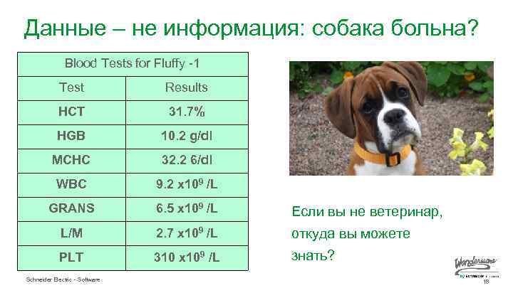 Данные – не информация: собака больна? Blood Tests for Fluffy -1 Test Results HCT