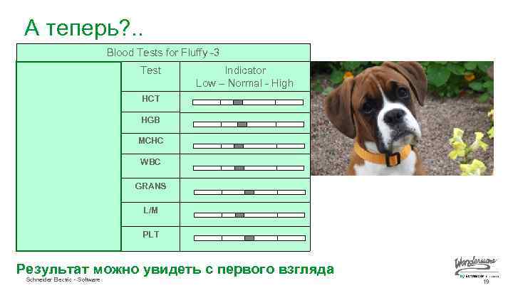 А теперь? . . Blood Tests for Fluffy -3 Test Results Test Range HCT