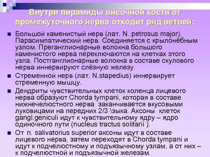 Внутри пирамиды височной кости от промежуточного нерва отходит ряд ветвей: n n Большой каменистый