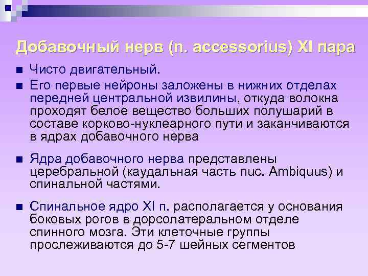 Добавочный нерв (n. accessorius) XI пара n n Чисто двигательный. Его первые нейроны заложены