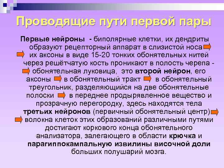 Проводящие пути первой пары Первые нейроны - биполярные клетки, их дендриты образуют рецепторный аппарат