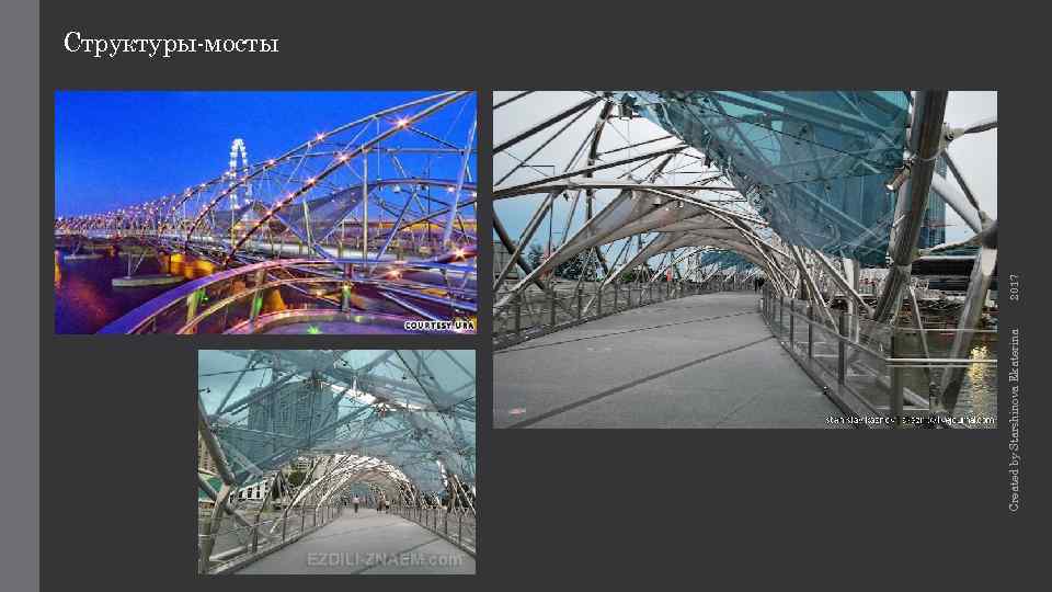 Created by Starshinova Ekaterina 2017 Структуры-мосты 