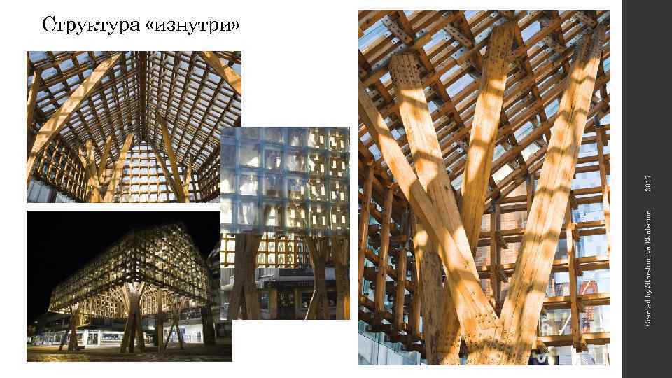 Created by Starshinova Ekaterina 2017 Структура «изнутри» 