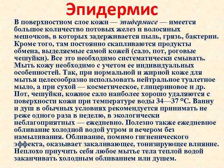 Эпидермис В поверхностном слое кожи — эпидермисе — имеется большое количество потовых желез и