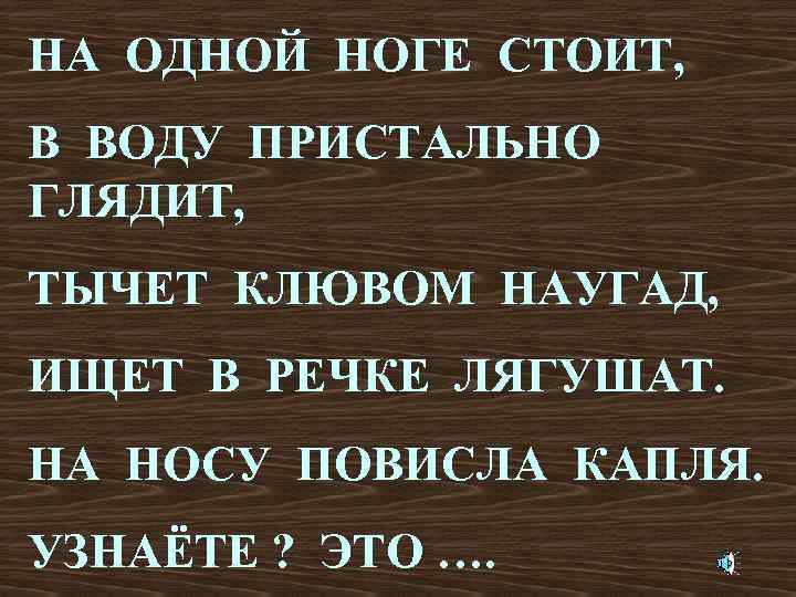 НА ОДНОЙ НОГЕ СТОИТ, В ВОДУ ПРИСТАЛЬНО ГЛЯДИТ, ТЫЧЕТ КЛЮВОМ НАУГАД, ИЩЕТ В РЕЧКЕ
