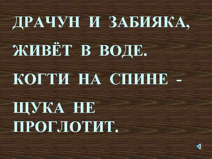 ДРАЧУН И ЗАБИЯКА, ЖИВЁТ В ВОДЕ. КОГТИ НА СПИНЕ ЩУКА НЕ ПРОГЛОТИТ. 