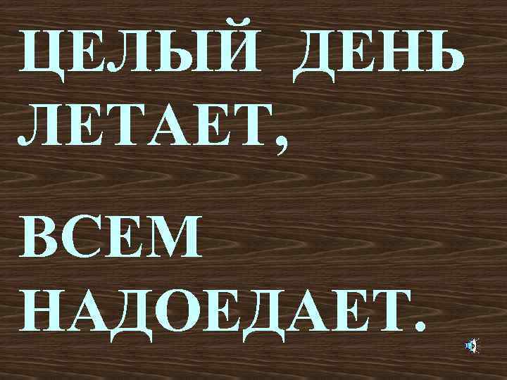 ЦЕЛЫЙ ДЕНЬ ЛЕТАЕТ, ВСЕМ НАДОЕДАЕТ. 