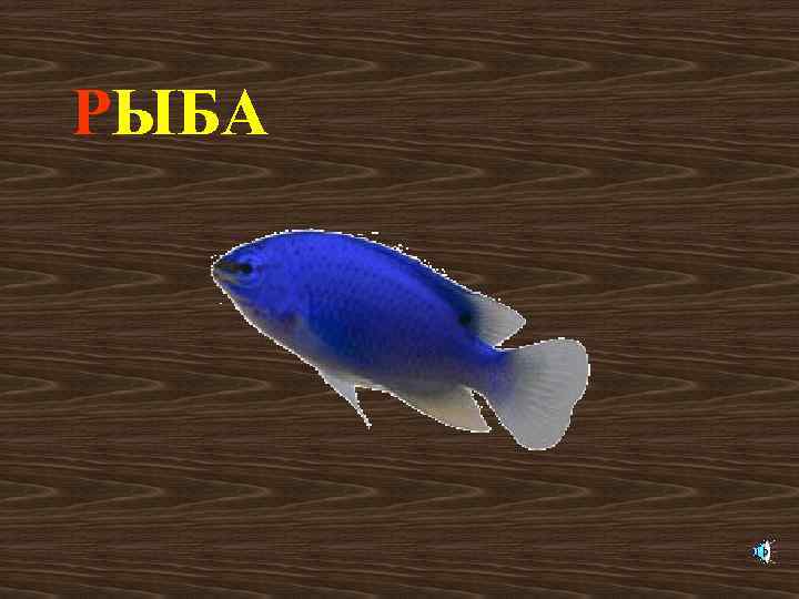РЫБА 