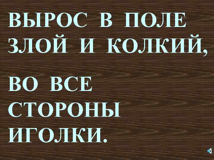 ВЫРОС В ПОЛЕ ЗЛОЙ И КОЛКИЙ, ВО ВСЕ СТОРОНЫ ИГОЛКИ. 
