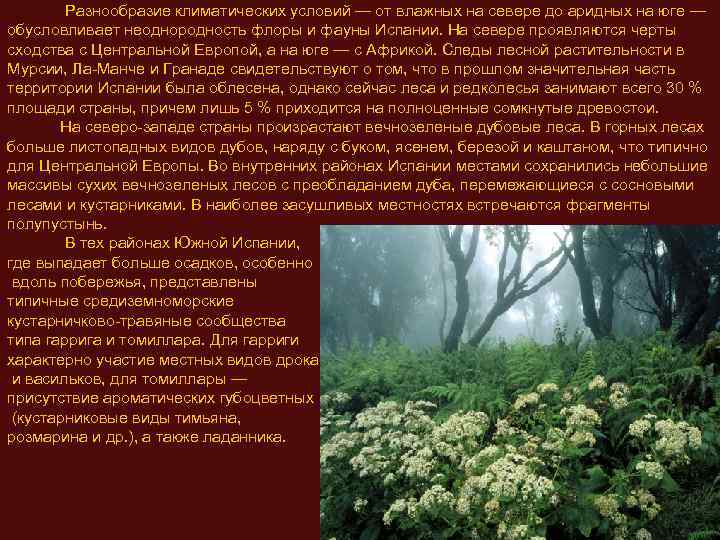  Разнообразие климатических условий — от влажных на севере до аридных на юге —