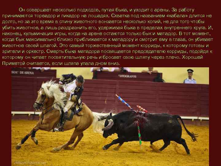  Он совершает несколько подходов, путая быка, и уходит с арены. За работу принимаются