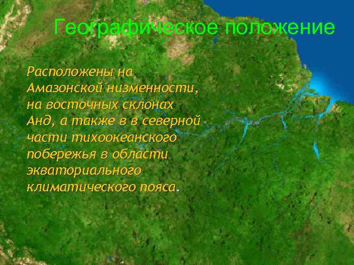 Географическое положение Расположены на Амазонской низменности, на восточных склонах Анд, а также в в