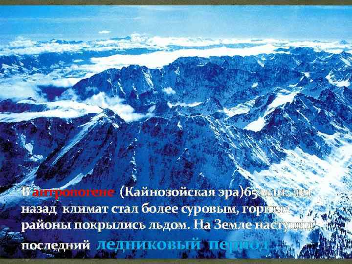 В антропогене (Кайнозойская эра)65 млн. лет назад климат стал более суровым, горные районы покрылись