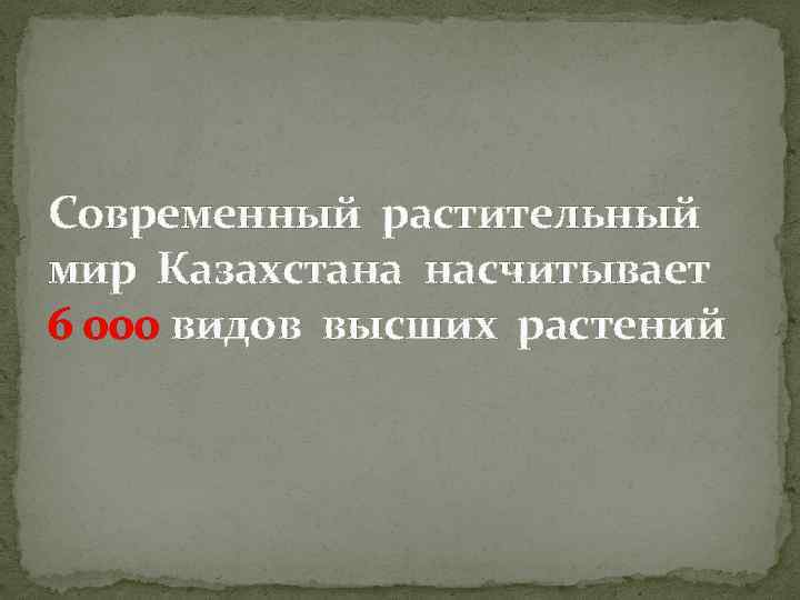 Современный растительный мир Казахстана насчитывает 6 000 видов высших растений 