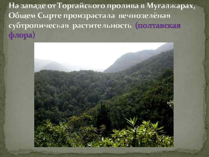 На западе от Торгайского пролива в Мугалжарах, Общем Сырте произрастала вечнозелёная субтропическая растительность (полтавская