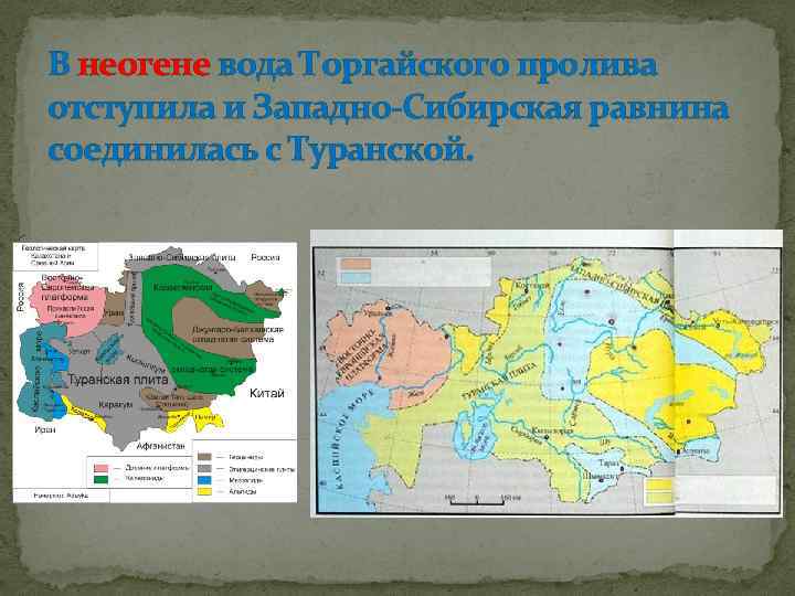 В неогене вода Торгайского пролива отступила и Западно Сибирская равнина соединилась с Туранской. 