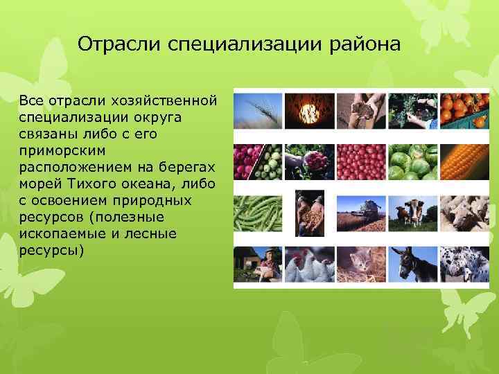 Отрасли специализации района Все отрасли хозяйственной специализации округа связаны либо с его приморским расположением