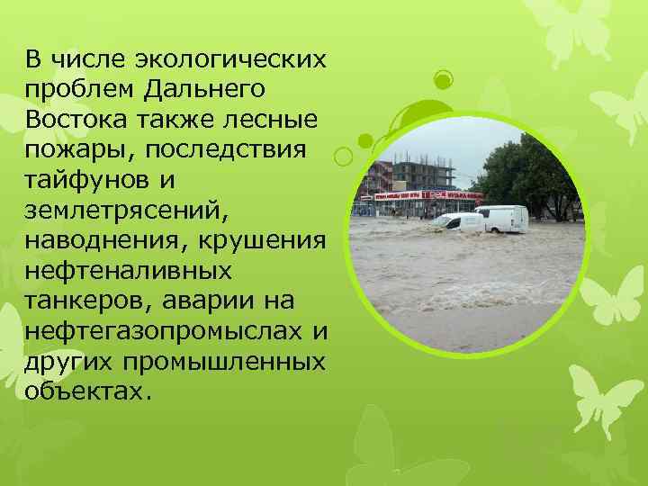 В числе экологических проблем Дальнего Востока также лесные пожары, последствия тайфунов и землетрясений, наводнения,