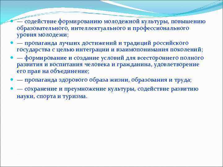  — содействие формированию молодежной культуры, повышению образовательного, интеллектуального и профессионального уровня молодежи; —