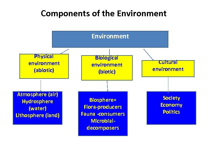 Components of the Environment Physical environment (abiotic) Atmosphere (air) Hydrosphere (water) Lithosphere (land) Biological