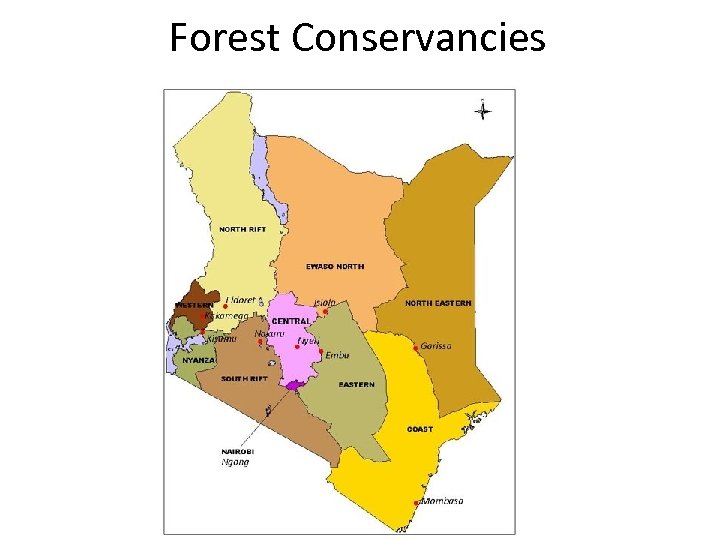 Forest Conservancies 