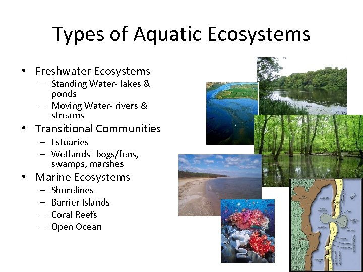 Types of Aquatic Ecosystems • Freshwater Ecosystems – Standing Water- lakes & ponds –