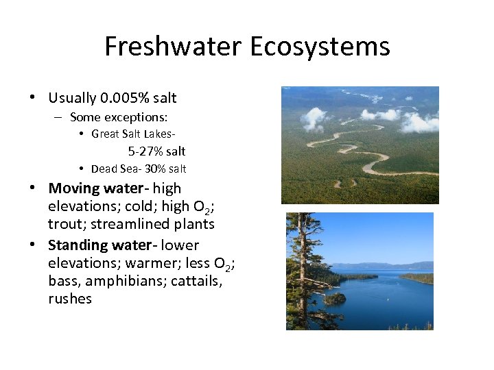 Freshwater Ecosystems • Usually 0. 005% salt – Some exceptions: • Great Salt Lakes-