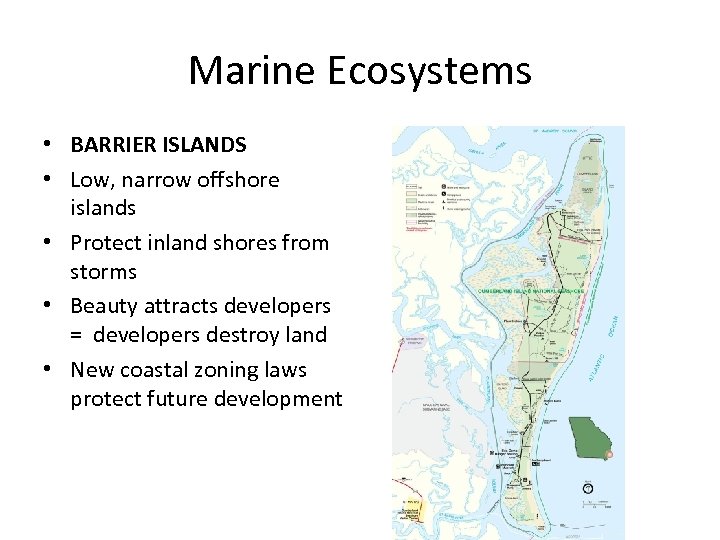 Marine Ecosystems • BARRIER ISLANDS • Low, narrow offshore islands • Protect inland shores
