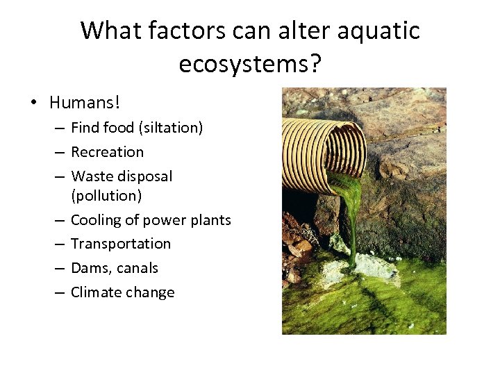 What factors can alter aquatic ecosystems? • Humans! – Find food (siltation) – Recreation